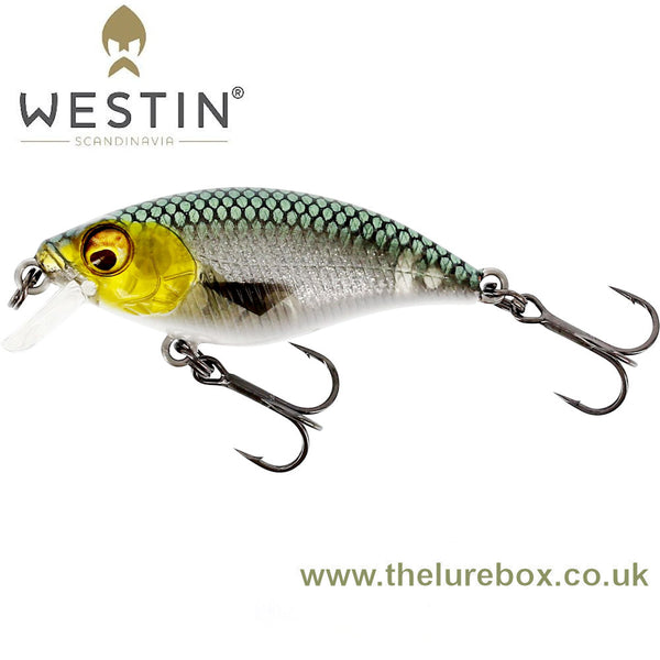 Westin BuzzBite Crankbait 5cm Shallow Runner - Floating